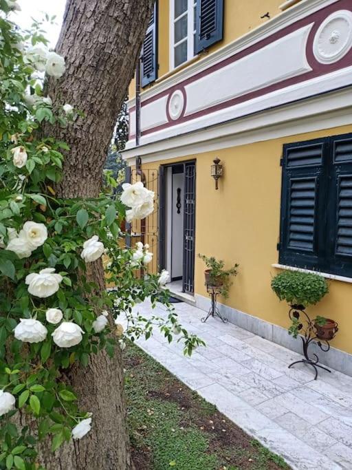Casetta Jacaranda Genua Exterior foto